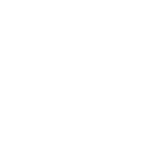 Secure payment with encrypted and protected checkout